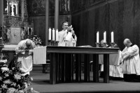 /album/velikonocni-vigilie-a-krest-katechumenu-4-4-2026-foto-jan-bezucha/bila-nedele-antonin-2026-072-jpg/